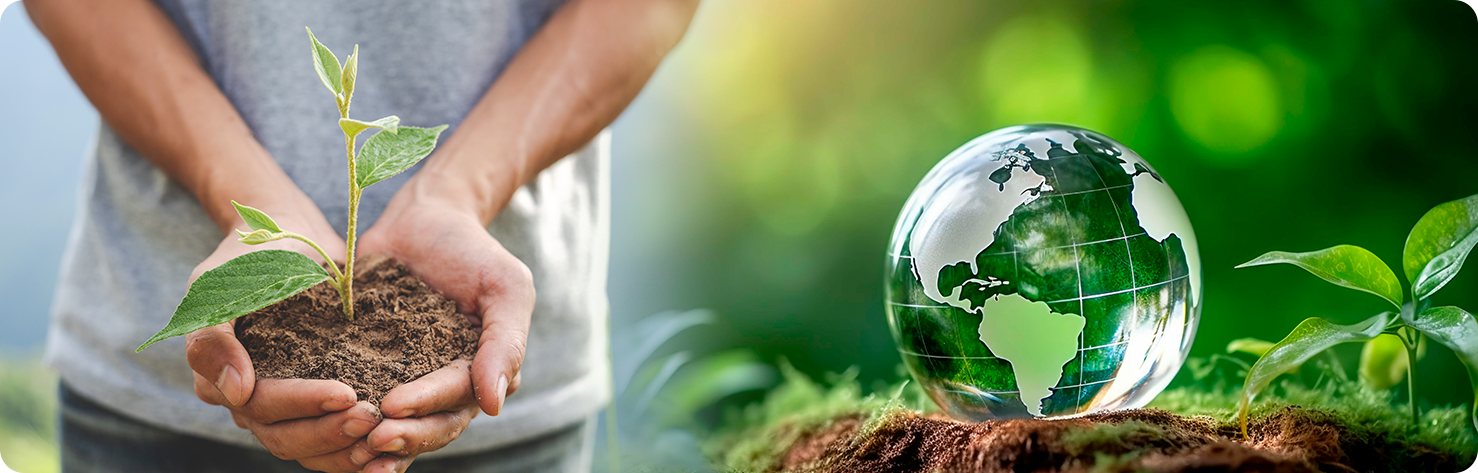 Other Environmental Management Areas