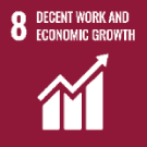 SDG 8 — Decent work and economic growth