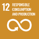 SDG 12 — Responsible consumption and production
