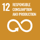 SDG 12 — Responsible consumption and production