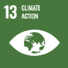SDG 13 — Climate action