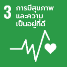 มิติสังคม