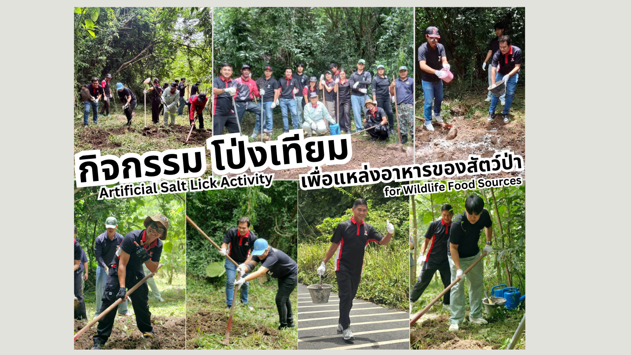 กิจกรรมโป่งเทียม เพื่อแหล่งอาหารของสัตว์ป่า